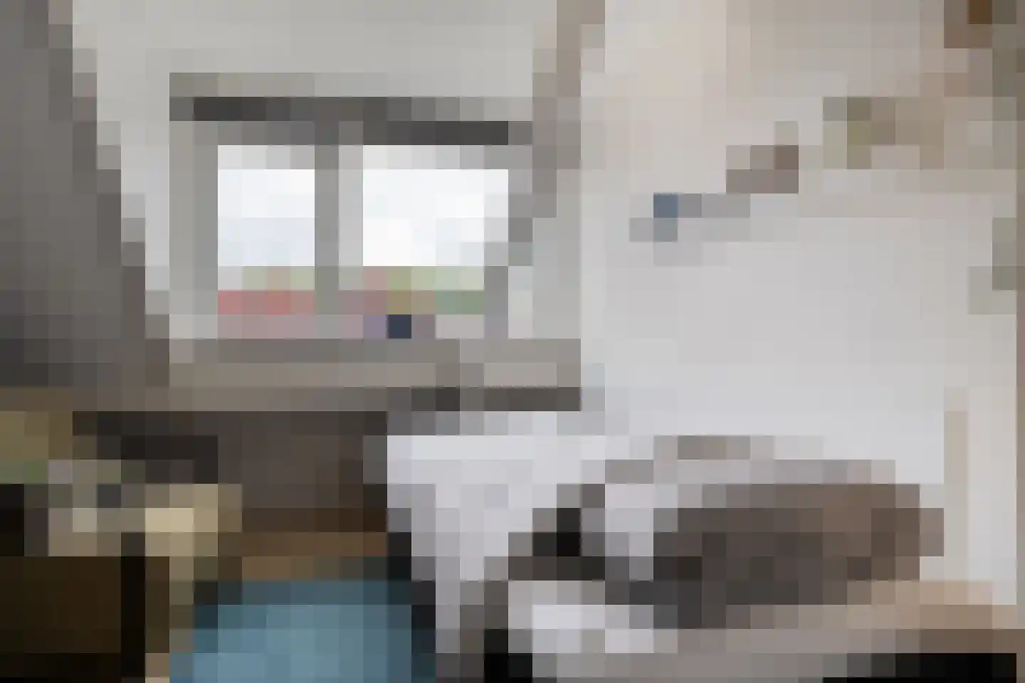 Schepenenlaan 29 Zwolle thumbnail 22