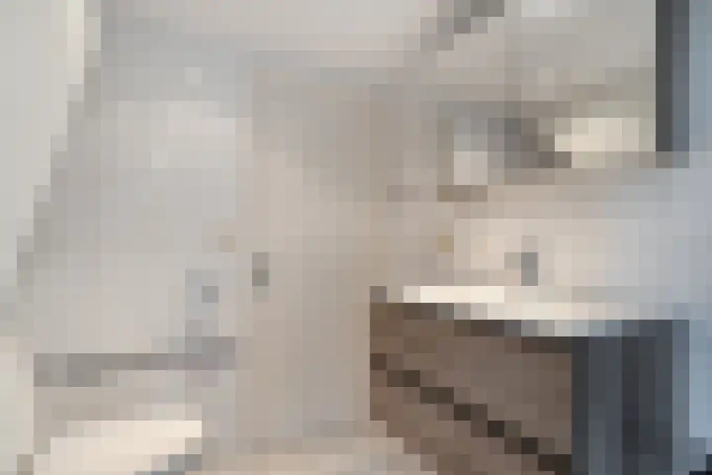 Schepenenlaan 29 Zwolle thumbnail 27