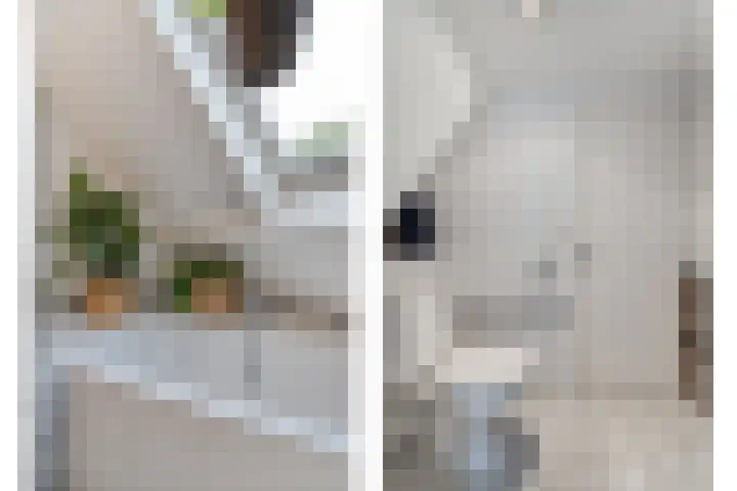 Schepenenlaan 29 Zwolle thumbnail 28