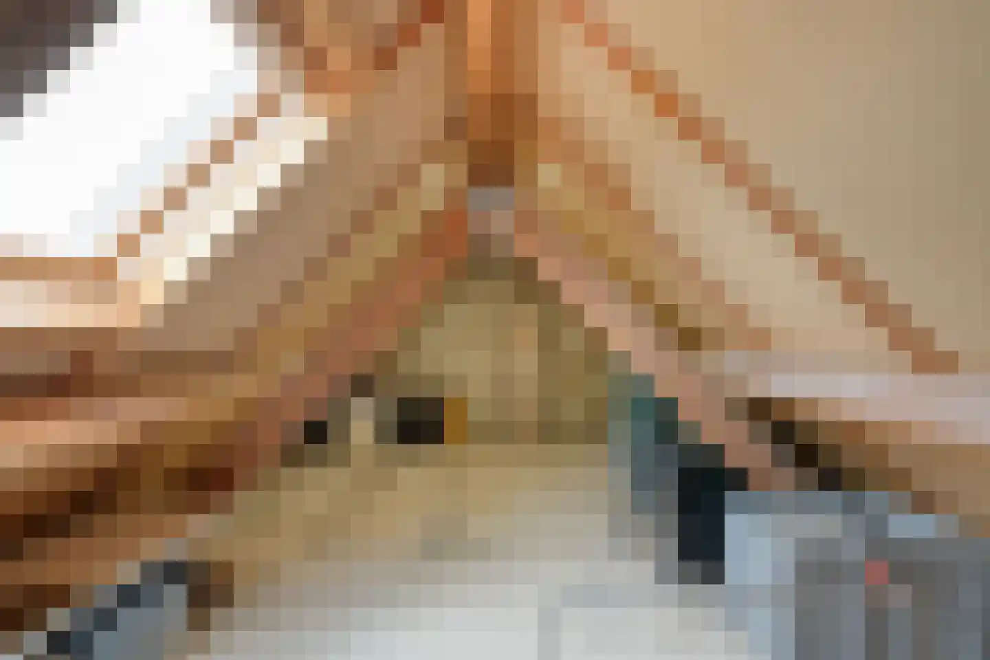 Schepenenlaan 29 Zwolle thumbnail 30