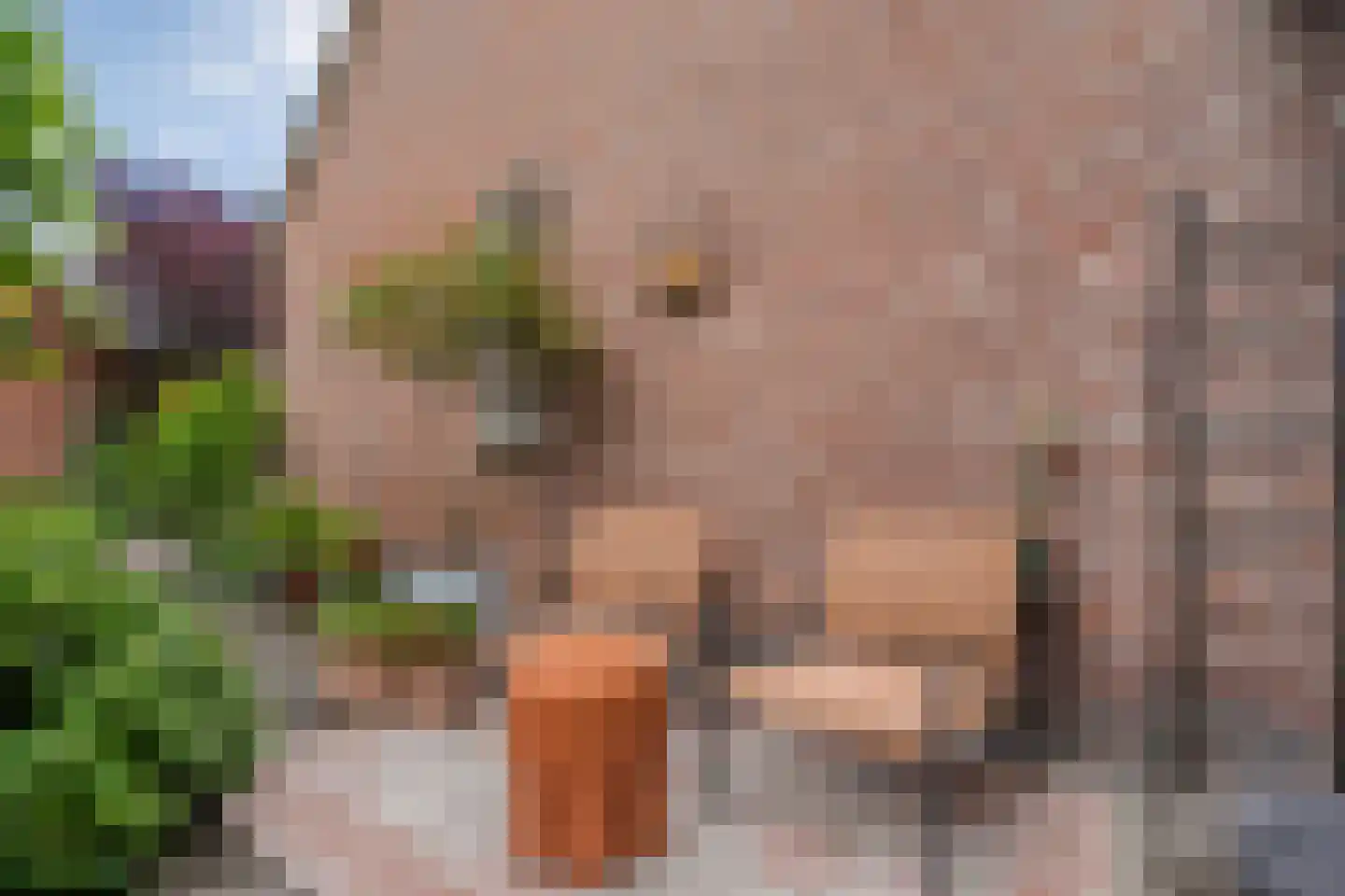 Schepenenlaan 29 Zwolle thumbnail 38