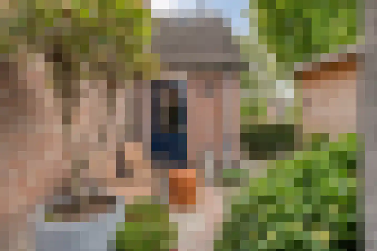 Schepenenlaan 29 Zwolle thumbnail 39