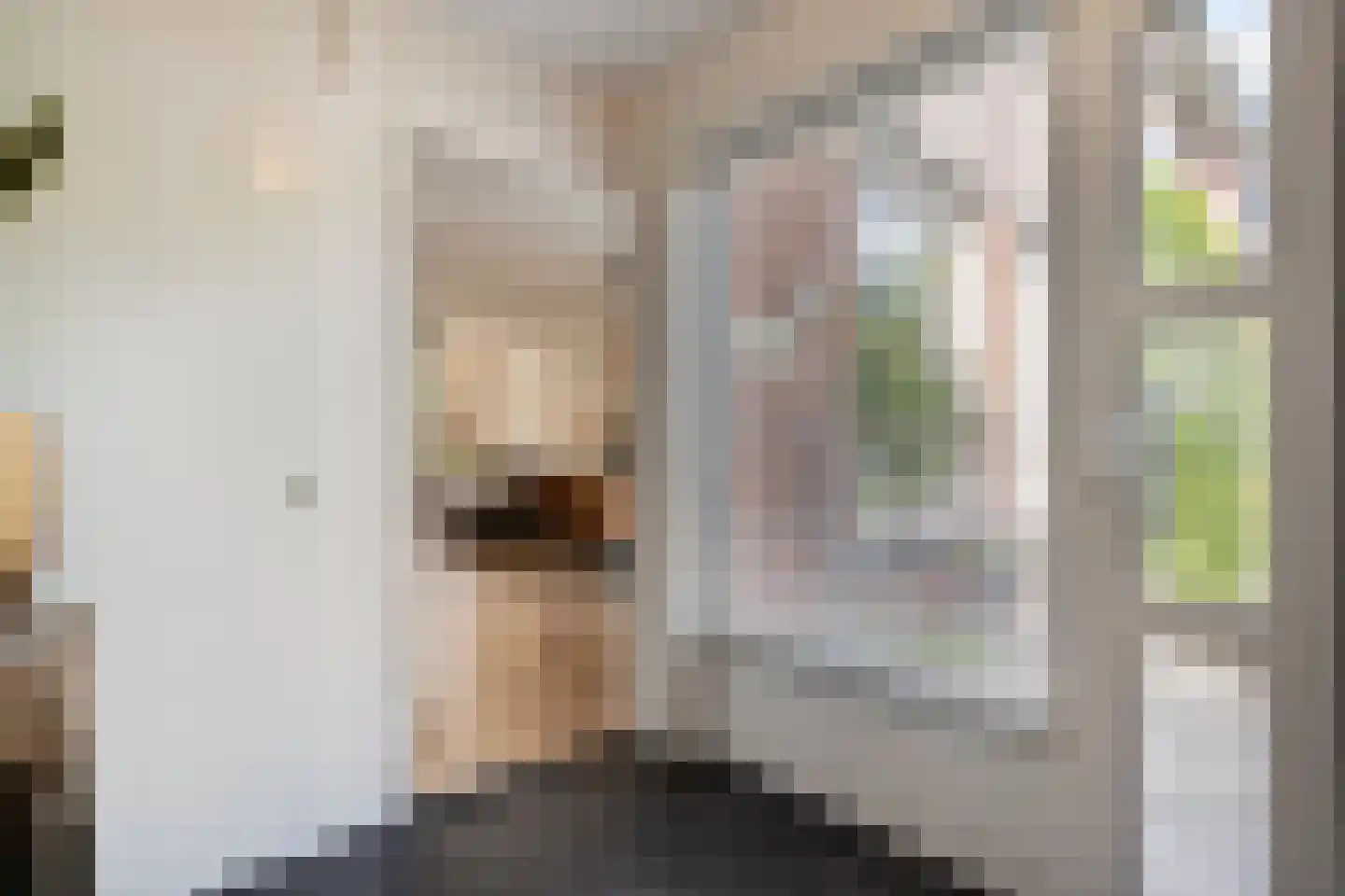 Schepenenlaan 29 Zwolle thumbnail 4