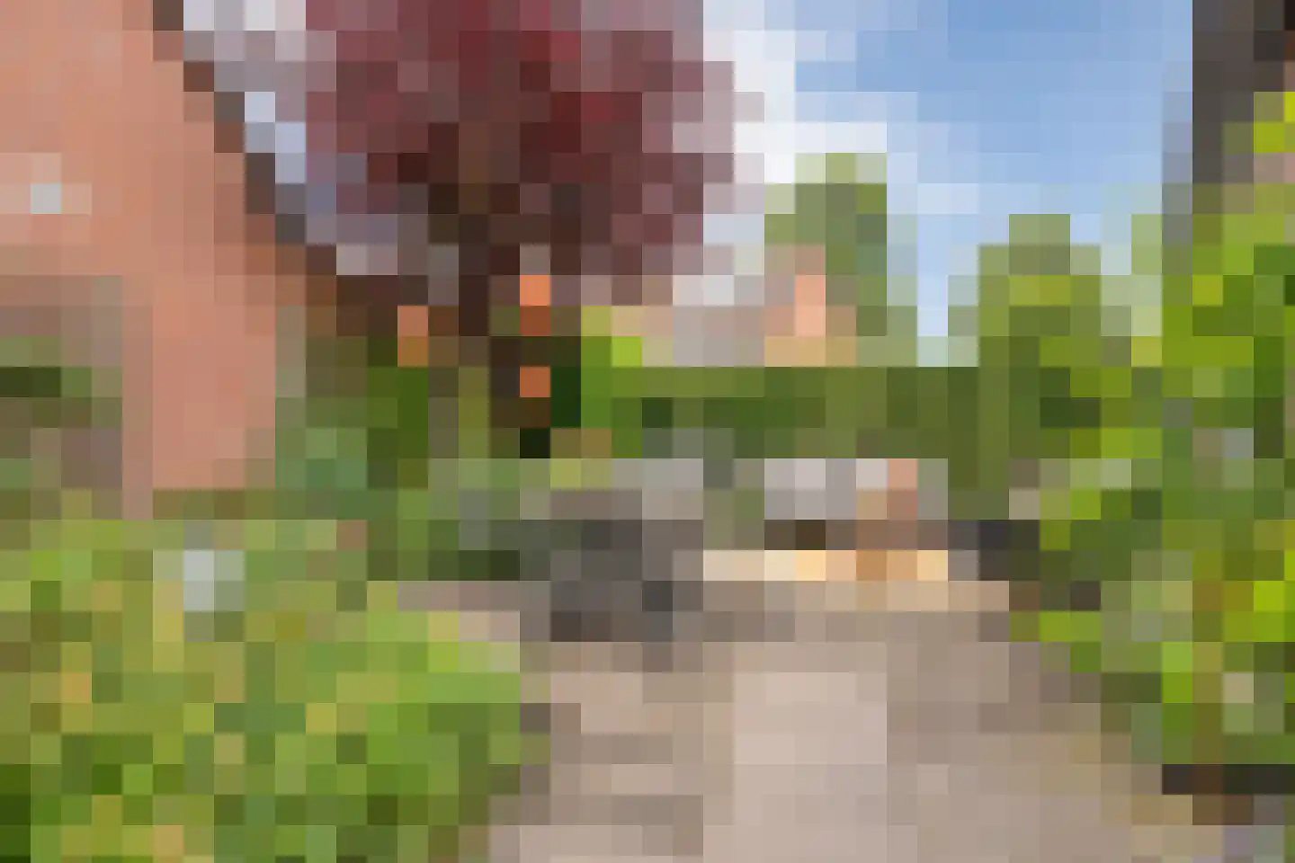 Schepenenlaan 29 Zwolle thumbnail 40
