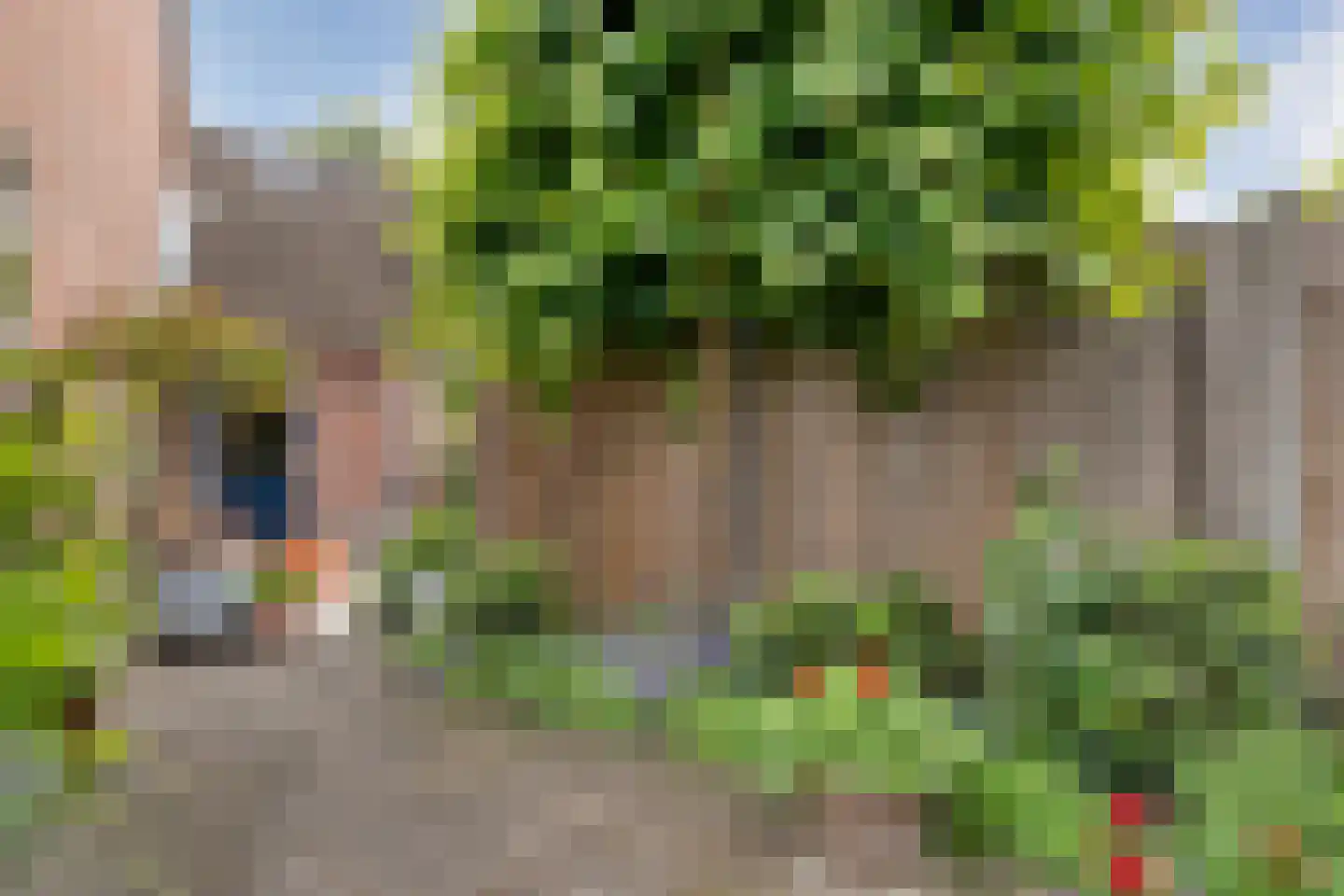 Schepenenlaan 29 Zwolle thumbnail 41