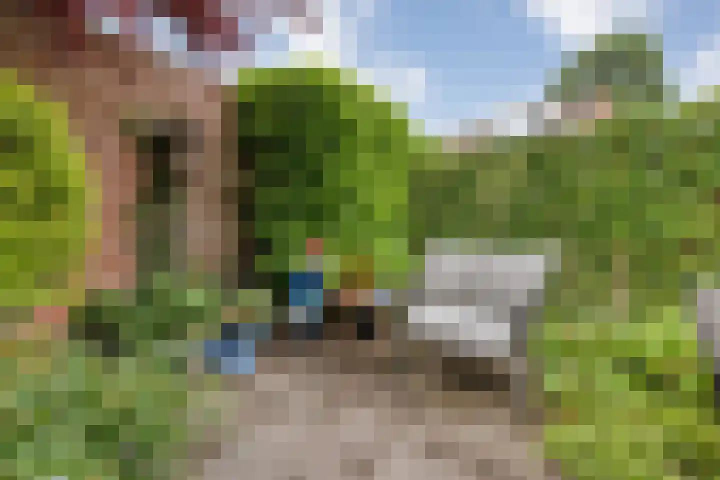 Schepenenlaan 29 Zwolle thumbnail 44