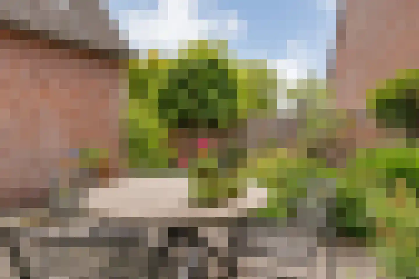 Schepenenlaan 29 Zwolle thumbnail 48