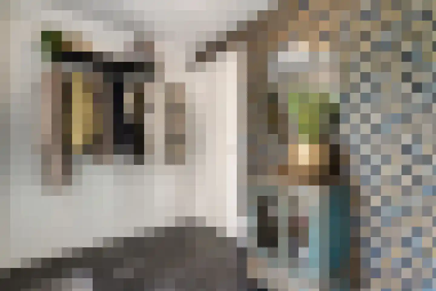 Schepenenlaan 29 Zwolle thumbnail 5