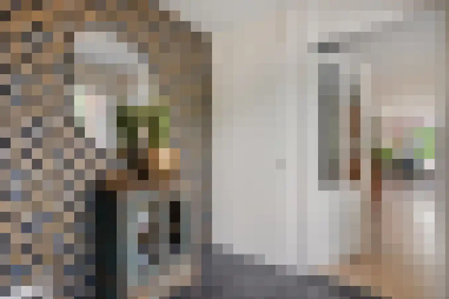Schepenenlaan 29 Zwolle thumbnail 6