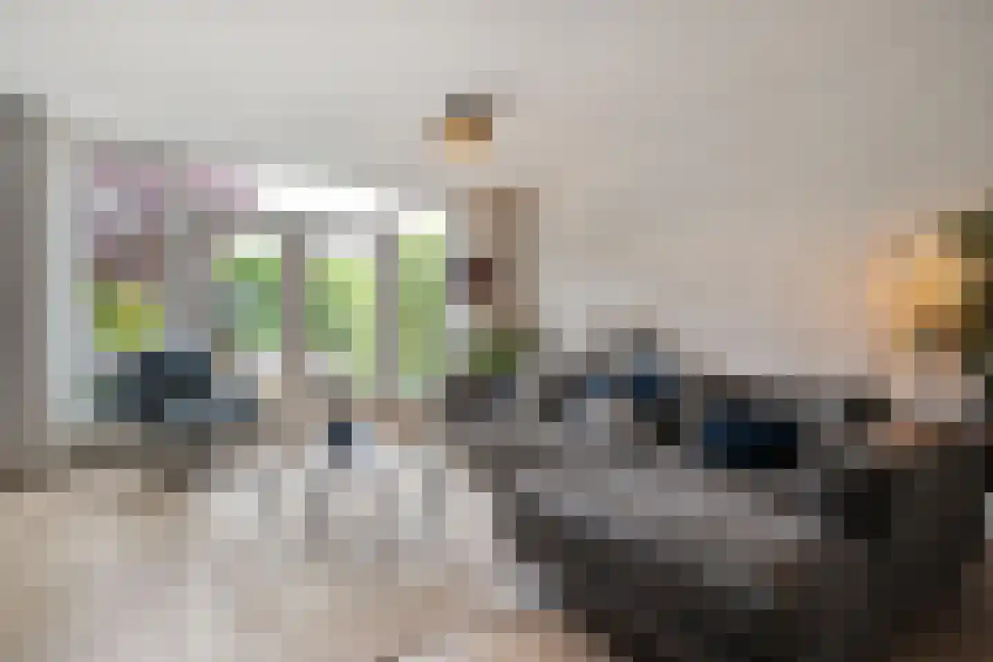 Schepenenlaan 29 Zwolle thumbnail 7