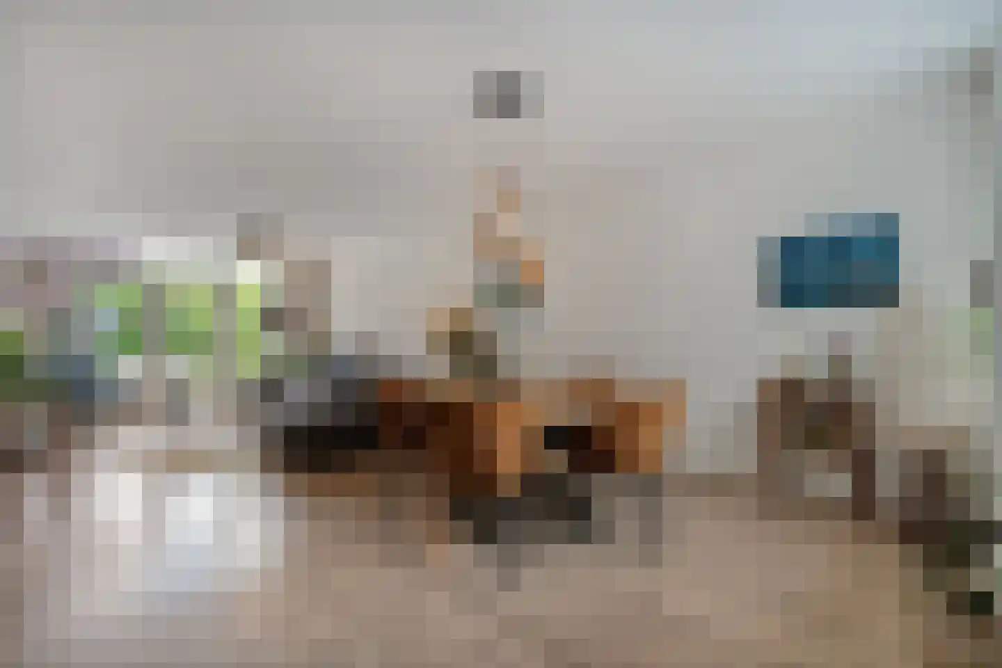 Schepenenlaan 29 Zwolle thumbnail 9