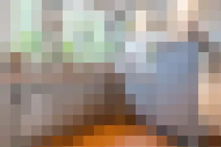 Schepenenlaan 30 Zwolle thumbnail 11