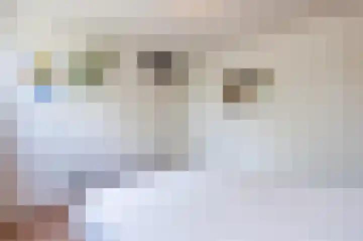 Schepenenlaan 30 Zwolle thumbnail 16