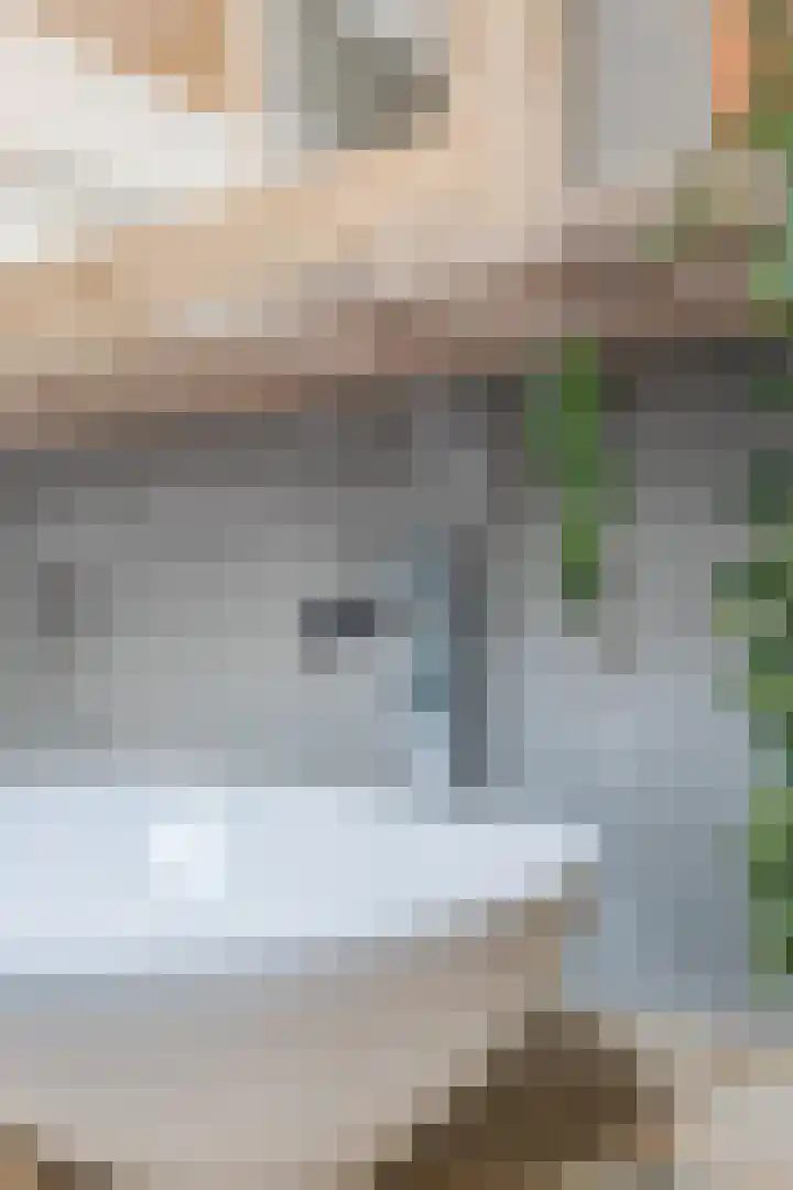 Schepenenlaan 30 Zwolle thumbnail 22