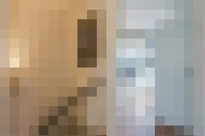 Schepenenlaan 30 Zwolle thumbnail 25