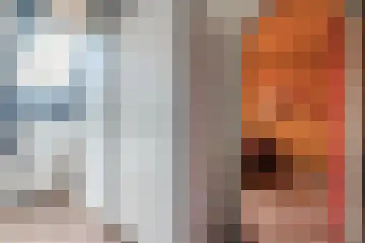 Schepenenlaan 30 Zwolle thumbnail 26