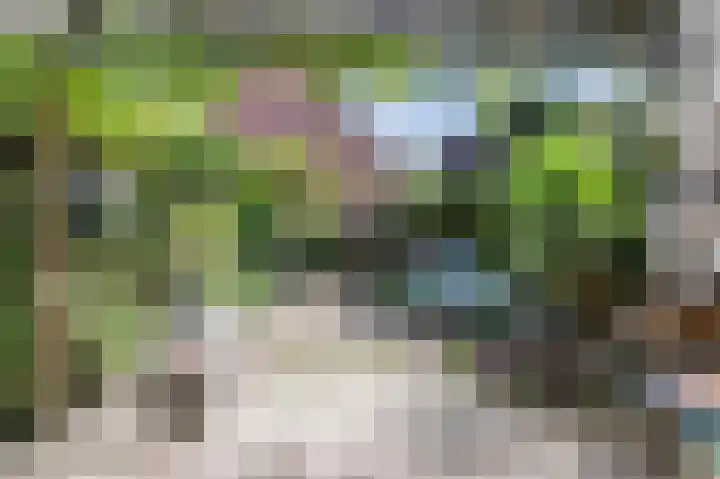 Schepenenlaan 30 Zwolle thumbnail 29