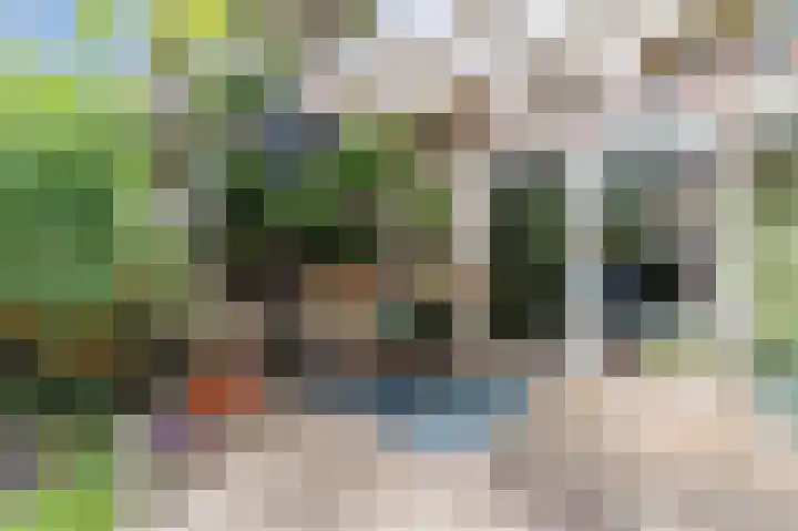 Schepenenlaan 30 Zwolle thumbnail 30