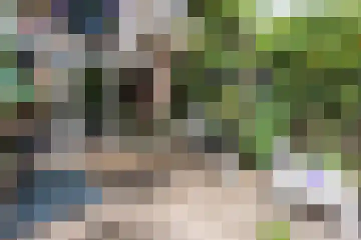 Schepenenlaan 30 Zwolle thumbnail 31