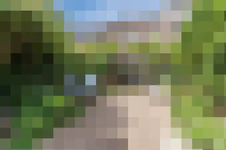 Schepenenlaan 30 Zwolle thumbnail 32