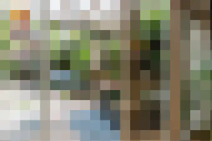 Schepenenlaan 30 Zwolle thumbnail 33