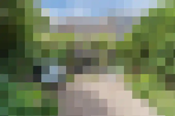Schepenenlaan 30 Zwolle thumbnail 34