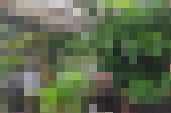 Schepenenlaan 30 Zwolle thumbnail 35