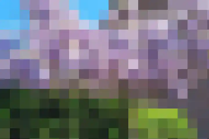 Schepenenlaan 30 Zwolle thumbnail 36