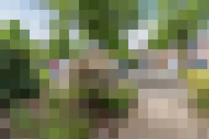 Schepenenlaan 30 Zwolle thumbnail 5
