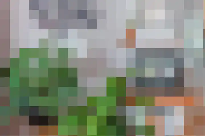 Schepenenlaan 30 Zwolle thumbnail 9