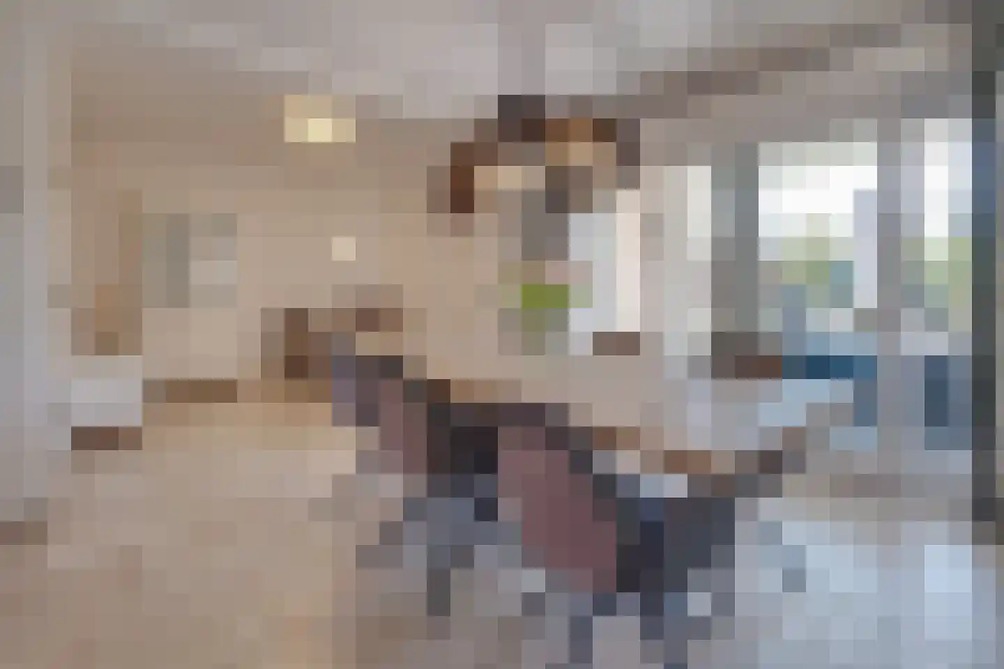 Schepenenlaan 31 Susteren thumbnail 11