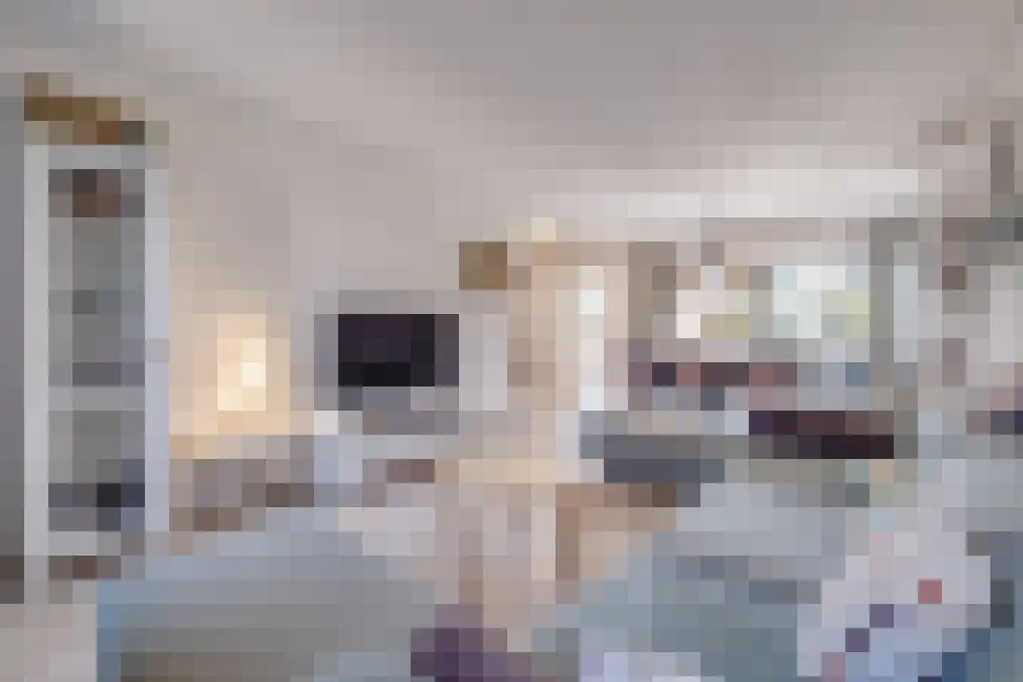 Schepenenlaan 31 Susteren thumbnail 13