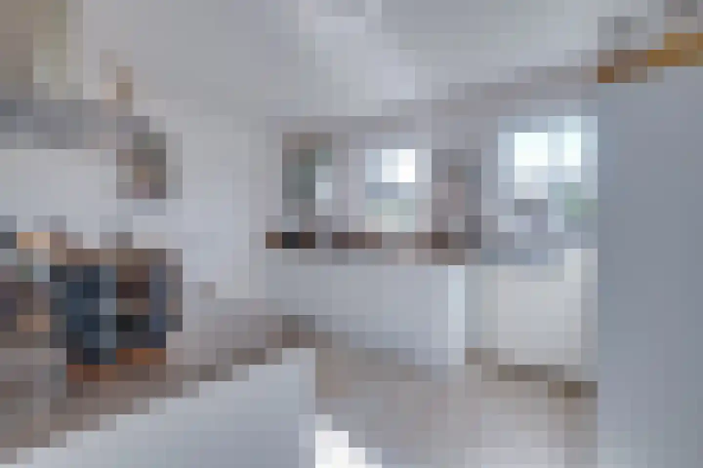 Schepenenlaan 31 Susteren thumbnail 14