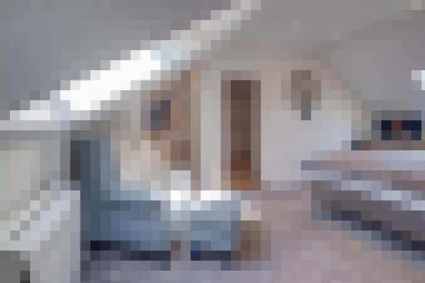 Schepenenlaan 31 Susteren thumbnail 21
