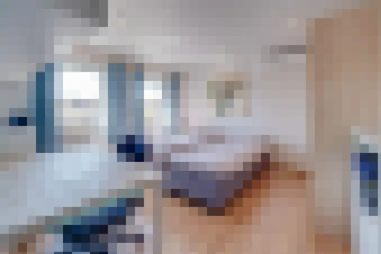 Schepenenlaan 31 Susteren thumbnail 24