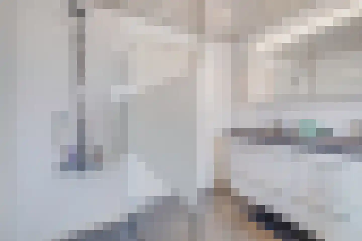 Schepenenlaan 31 Susteren thumbnail 28