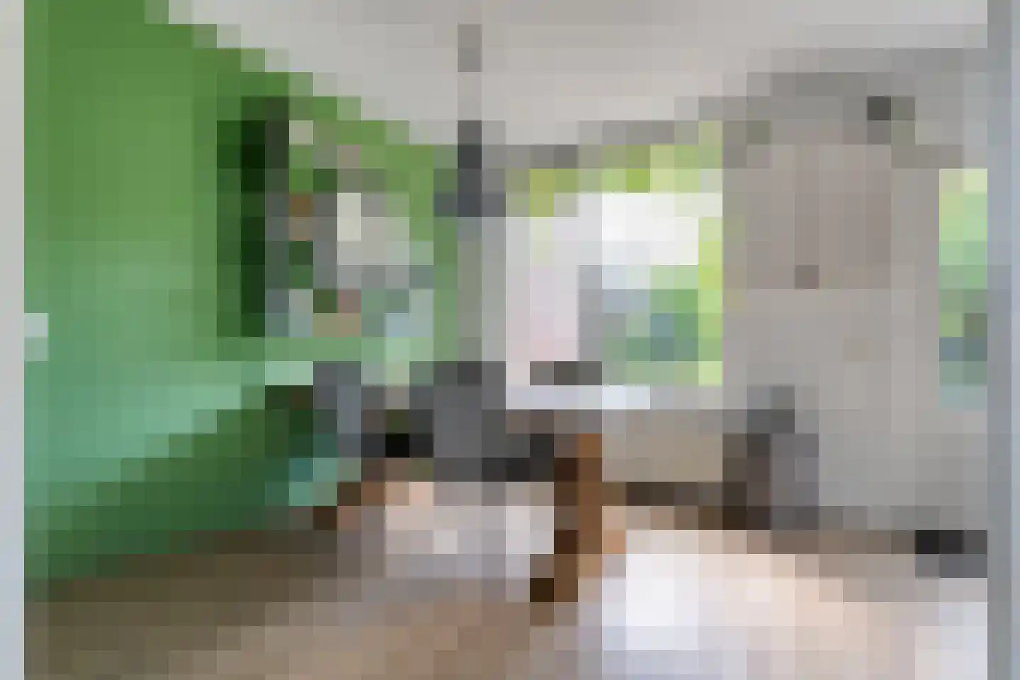 Schepenenlaan 62 Zwolle thumbnail 11
