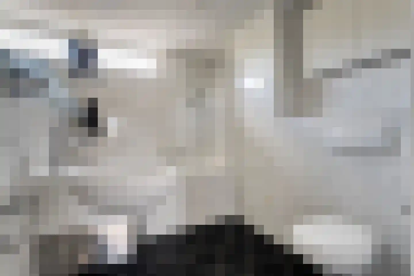 Schepenenlaan 62 Zwolle thumbnail 24