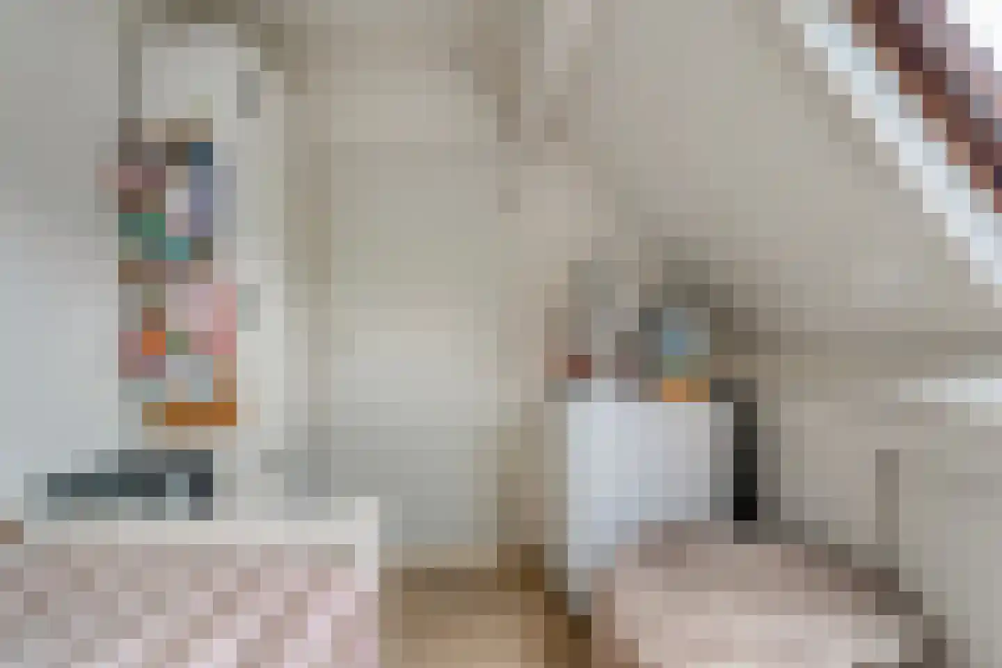 Schepenenlaan 62 Zwolle thumbnail 29