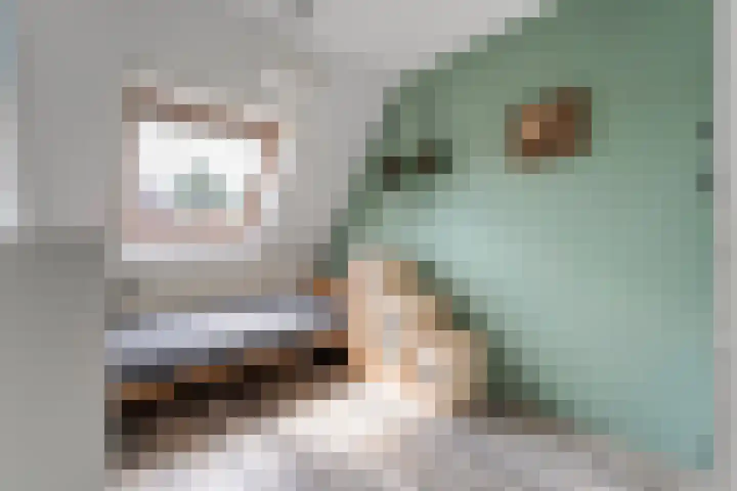 Schepenenlaan 62 Zwolle thumbnail 30