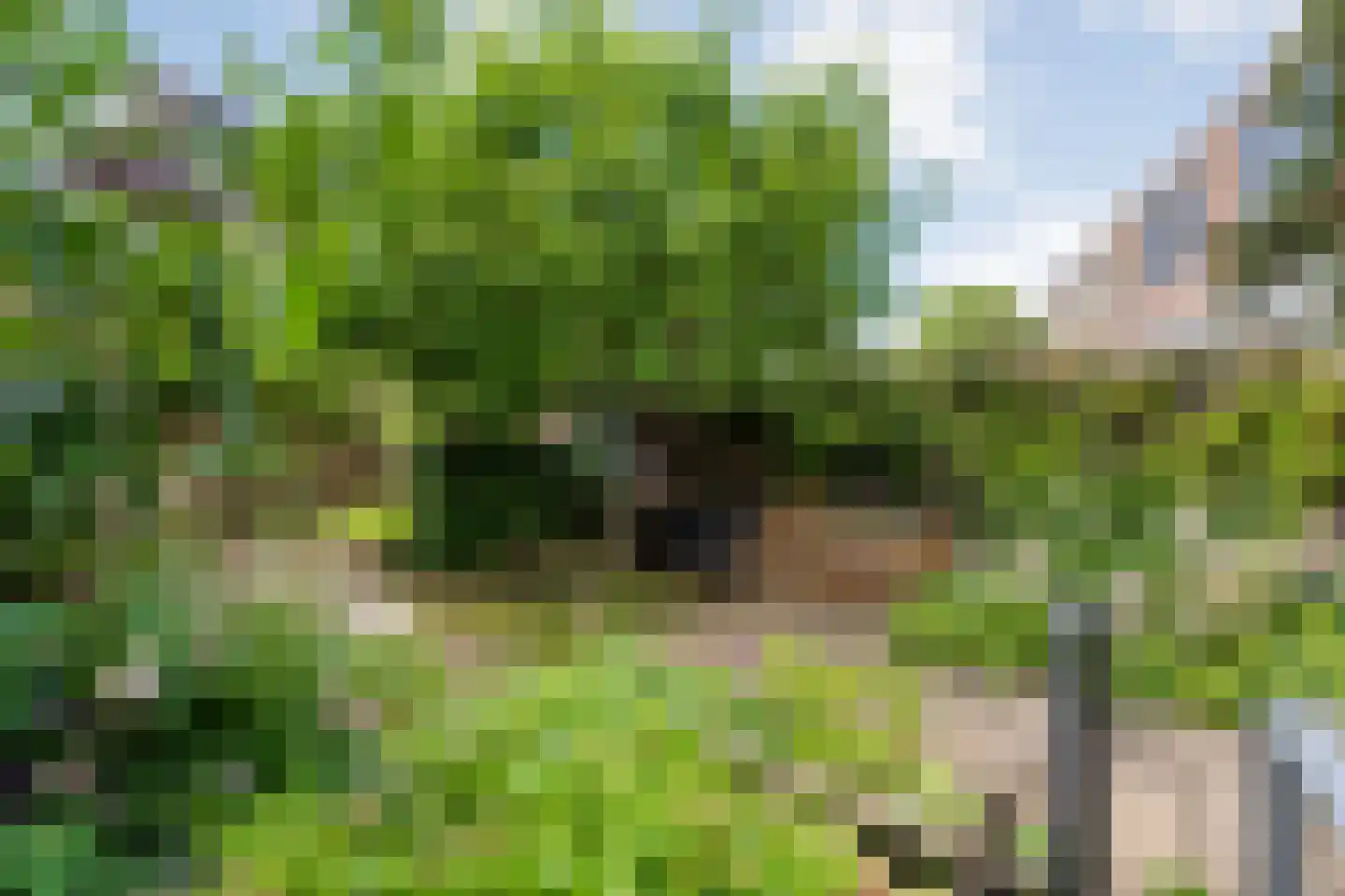 Schepenenlaan 62 Zwolle thumbnail 36