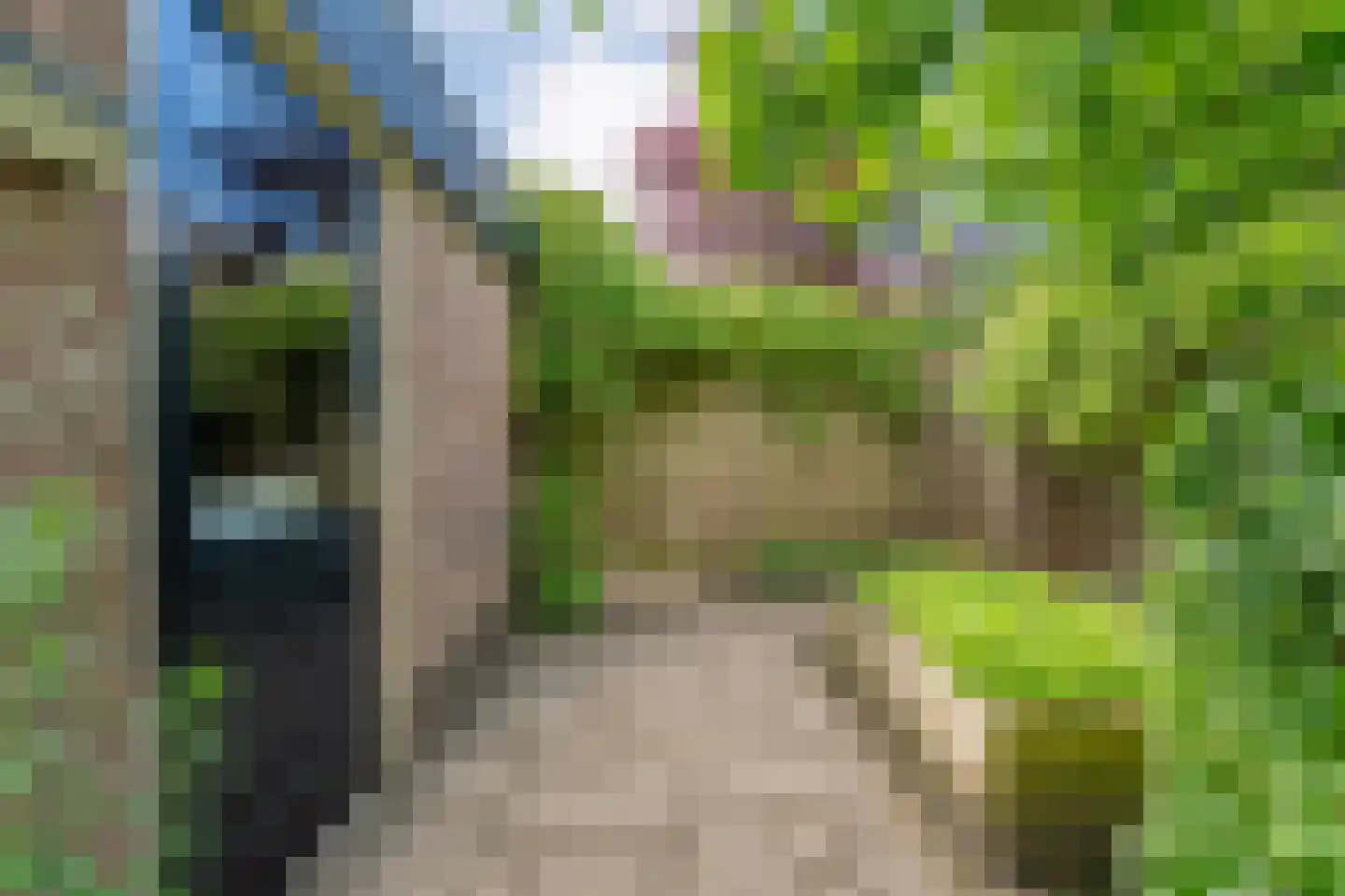 Schepenenlaan 62 Zwolle thumbnail 37