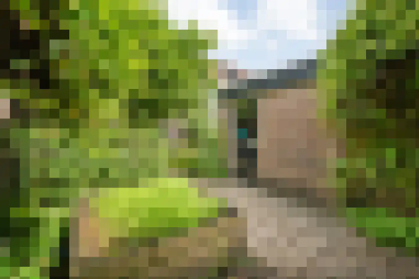 Schepenenlaan 62 Zwolle thumbnail 38