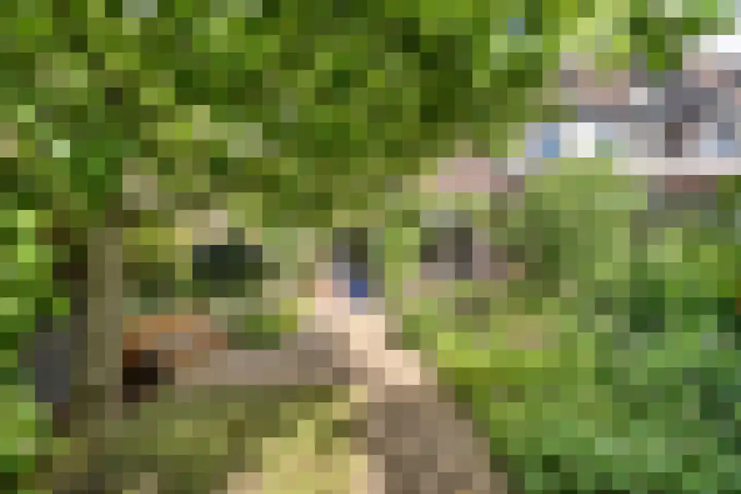 Schepenenlaan 62 Zwolle thumbnail 39