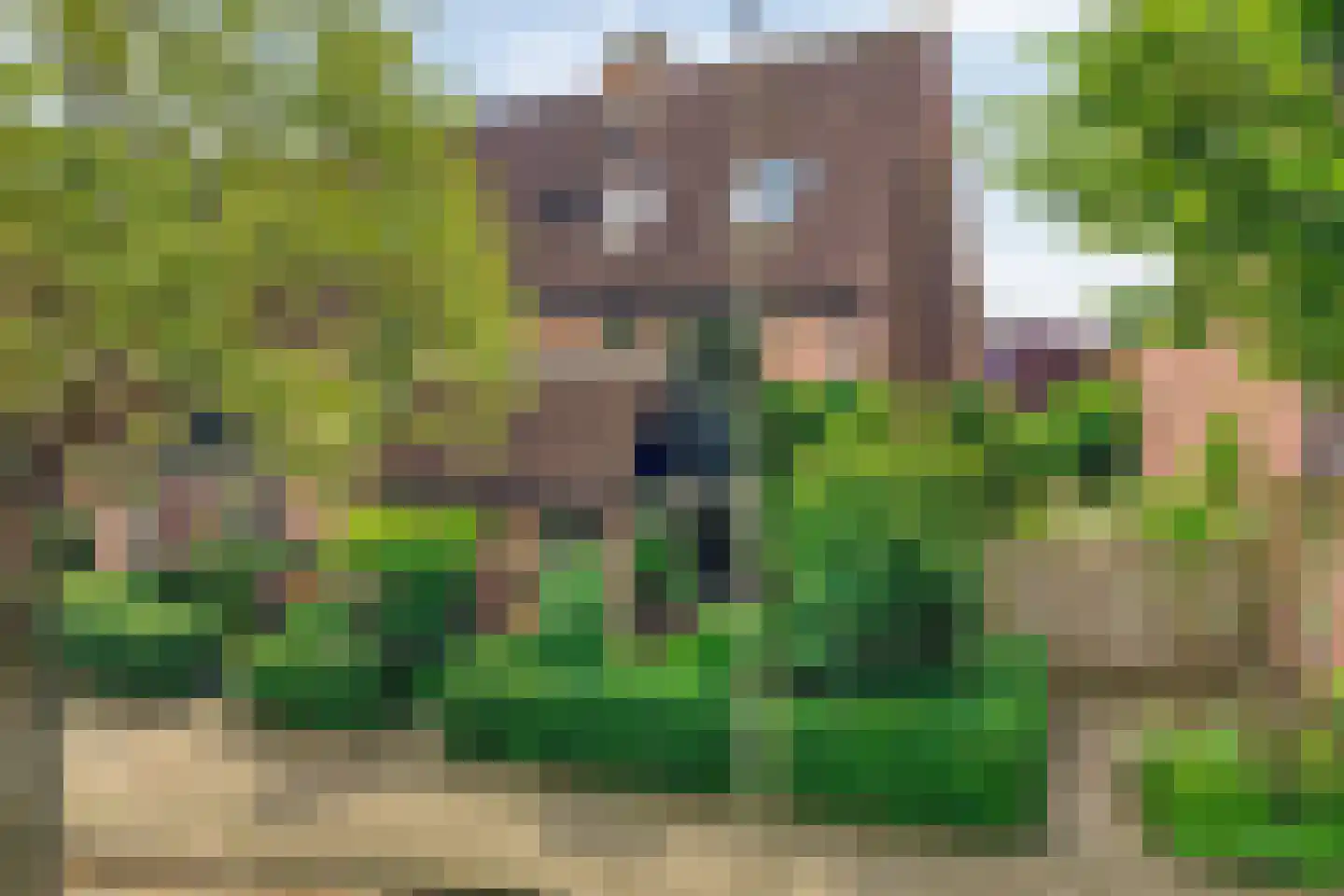 Schepenenlaan 62 Zwolle thumbnail 43