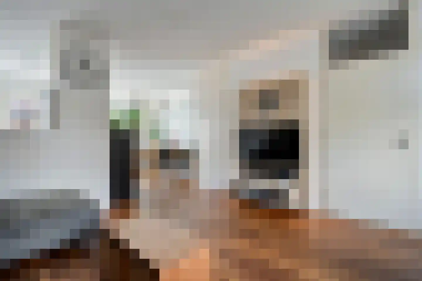 Schepenenlaan 76 Zwolle thumbnail 10