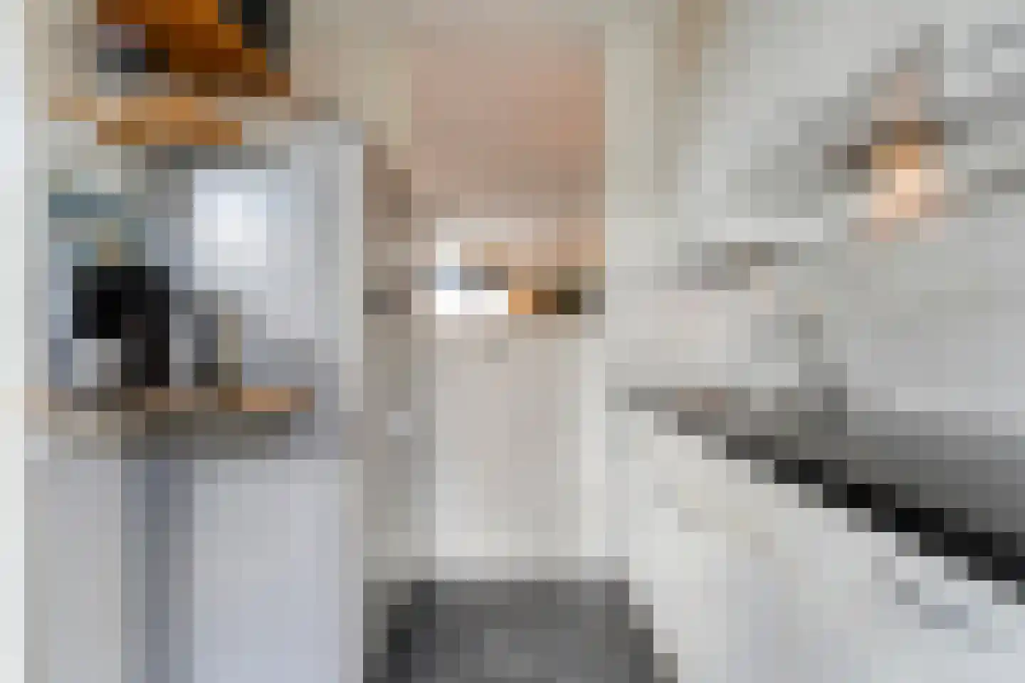 Schepenenlaan 76 Zwolle thumbnail 14