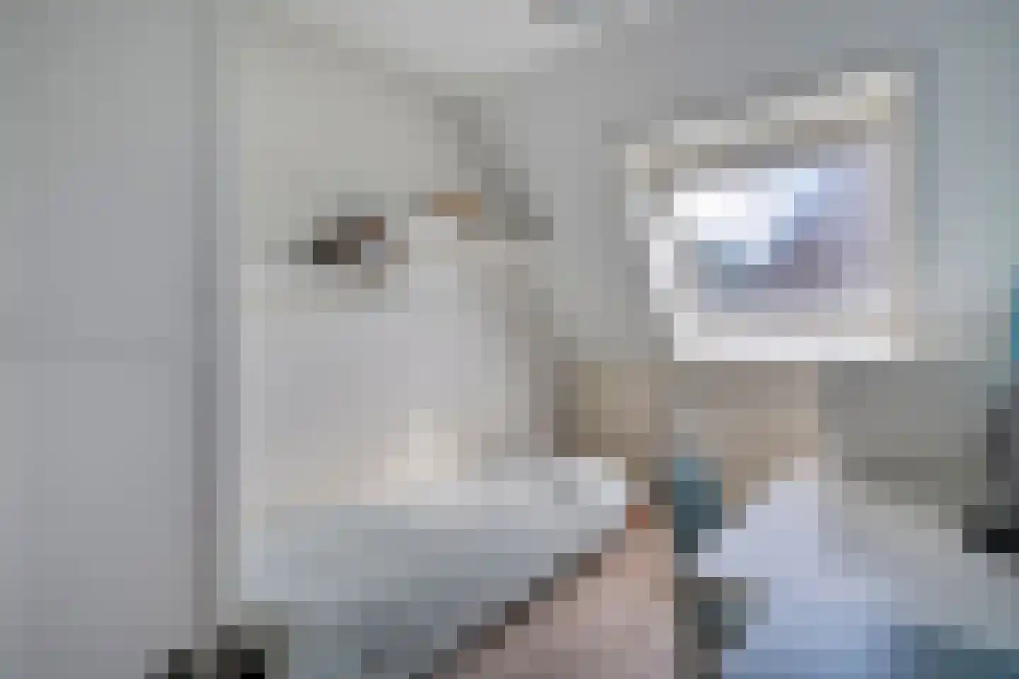 Schepenenlaan 76 Zwolle thumbnail 20
