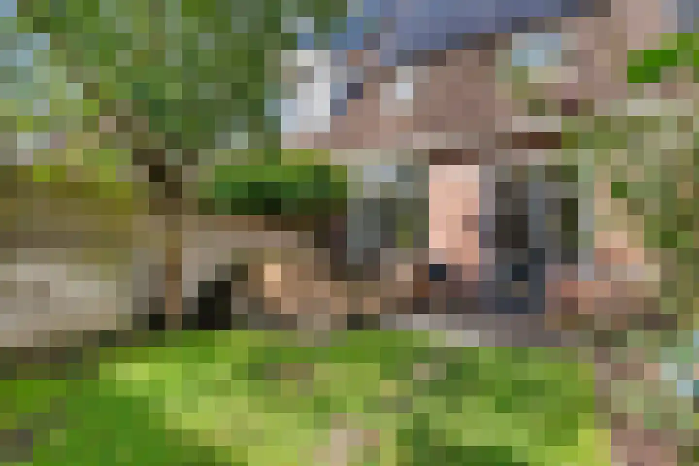 Schepenenlaan 76 Zwolle thumbnail 31