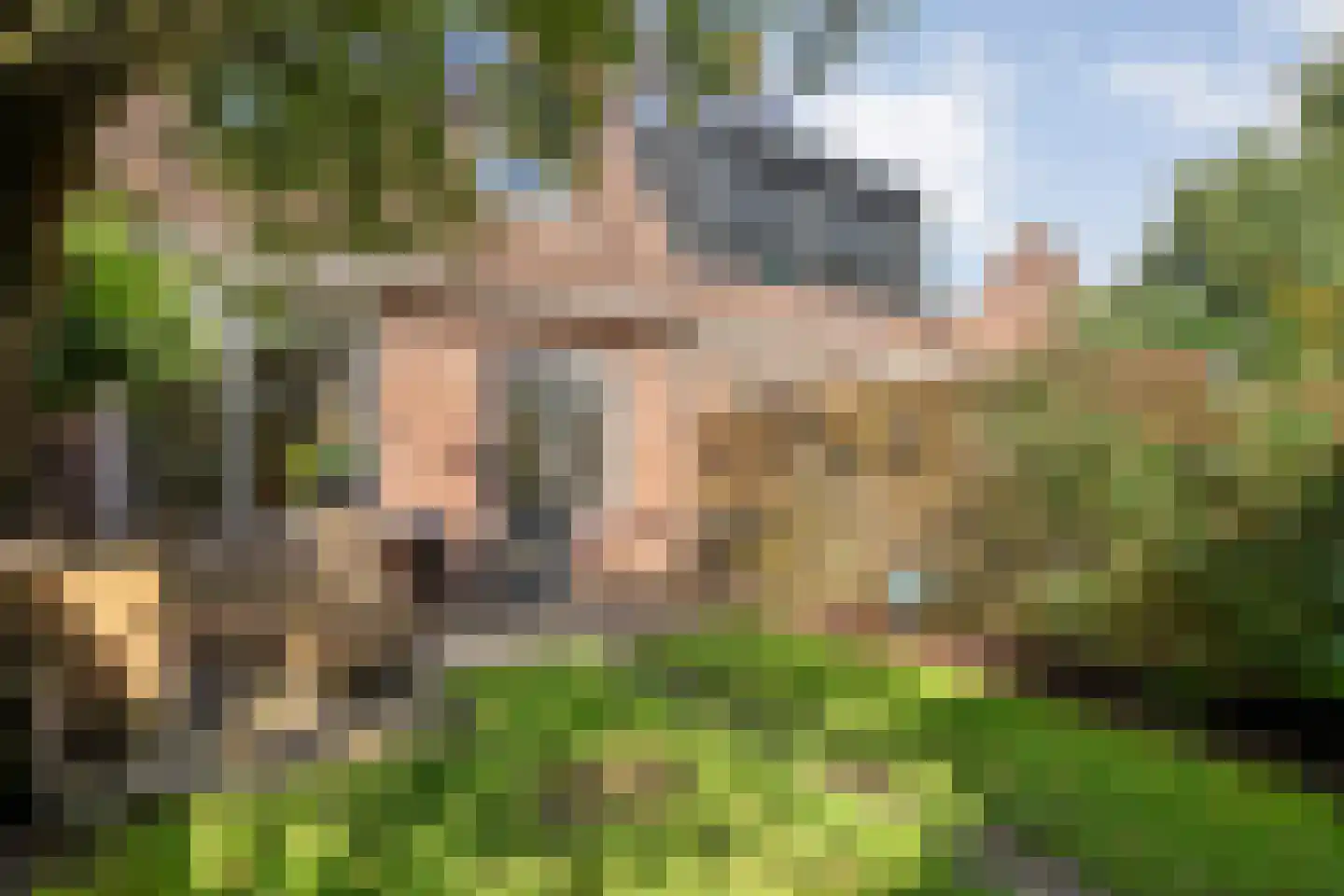 Schepenenlaan 76 Zwolle thumbnail 32